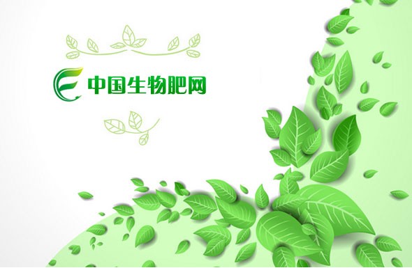 北(běi)京高(gāo)端網站(zhàn)建設公司-中國(guó)生(shēng)物(wù)肥網