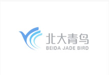 北(běi)京高(gāo)端網站(zhàn)建設公司-北(běi)大(dà)青鳥
